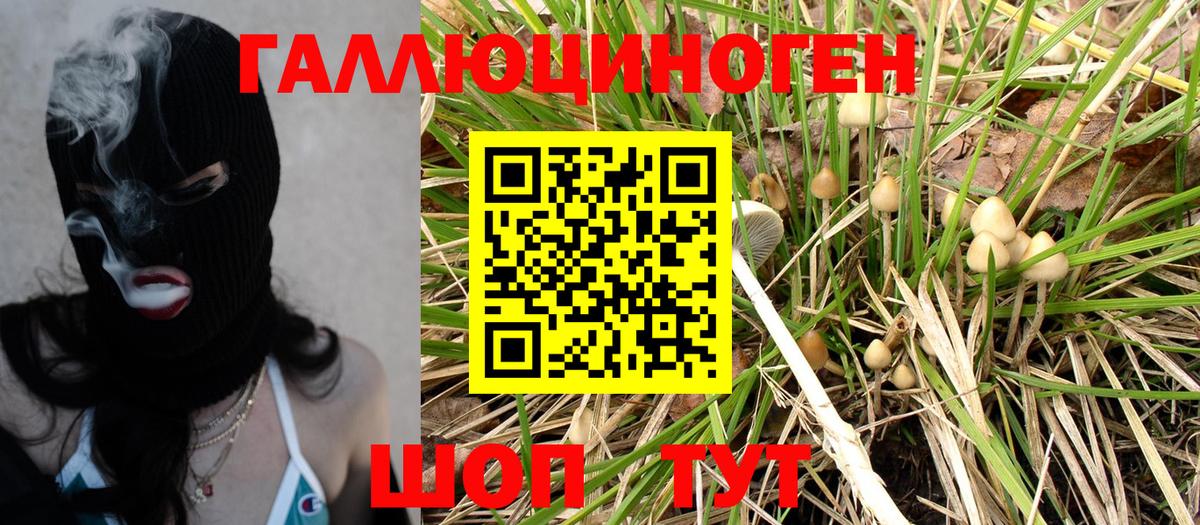 Бутурлиновка  Галлюциногенные грибы Magic Shrooms  Псилоцибиновые грибы Psilocybe  Вход с VPN 